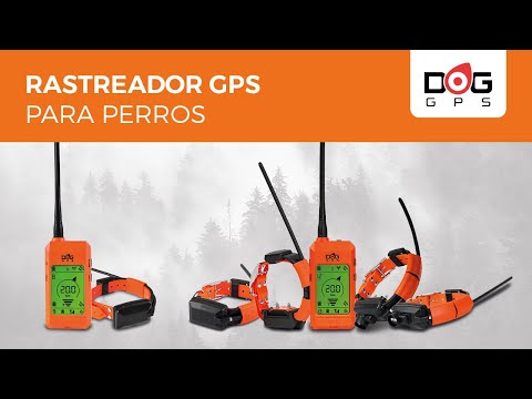 Rastreador GPS para perros | Dogtrace